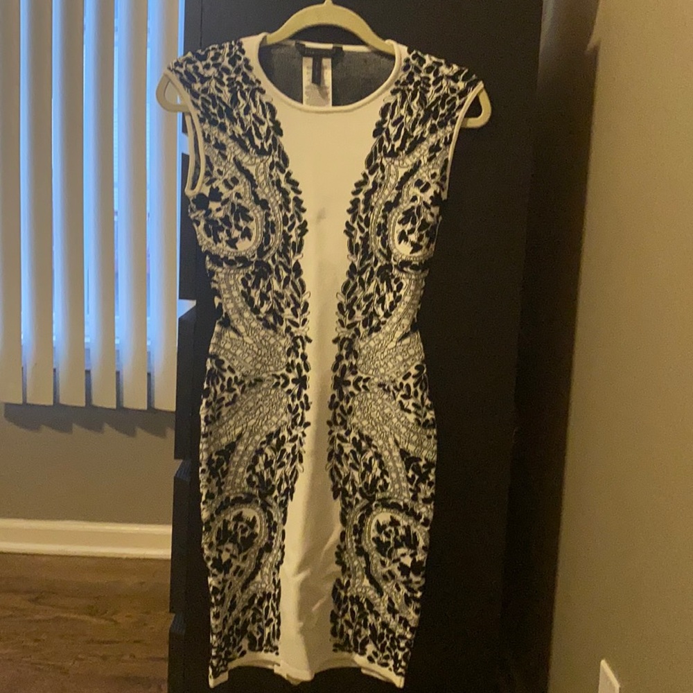 BCBG Fitted Elastic Dress